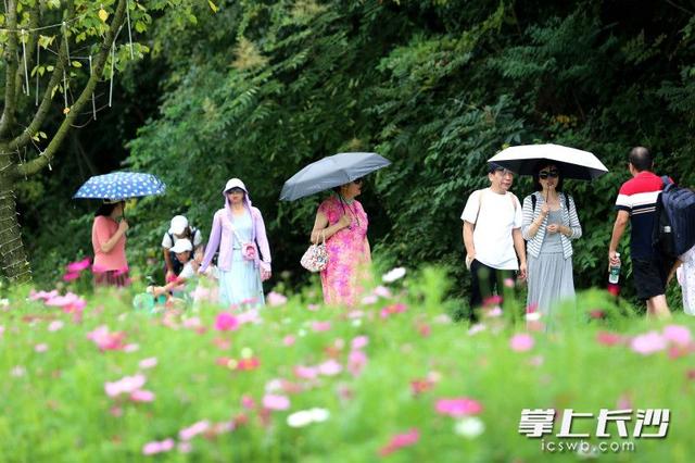 大地艺术融合美丽生态成爆款，长沙园林生态园假期前7天入园游客突破12万人次