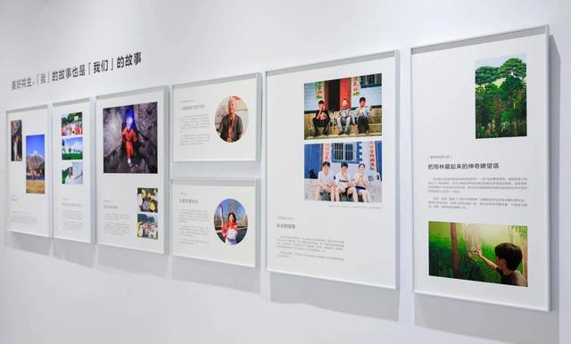 以善行传善心，伊利在798举办的免费艺术展，正将公益转化为沉浸式体验