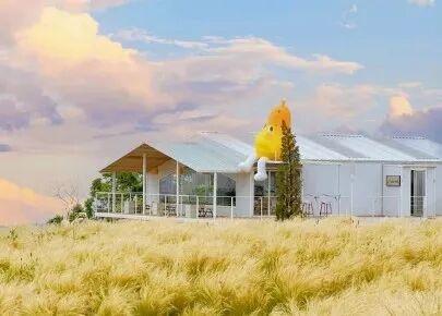 西安出发1h！这4个宝藏农场！