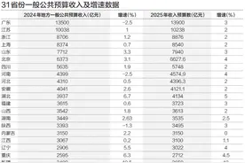 31省份今年财政收入预计平均增长2.8%，释放哪些信号？图片