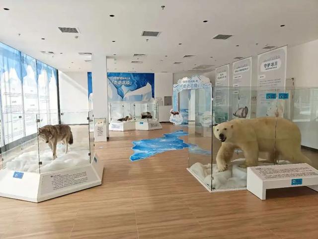 活动〡不用远行！来桃浦就能“穿越”敦煌与北极