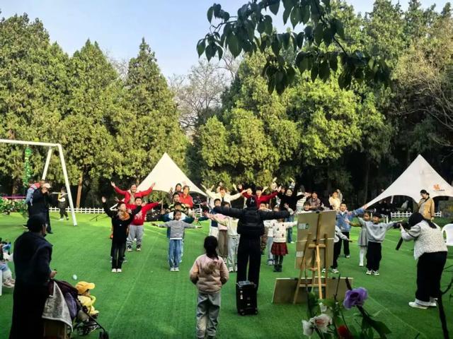 赵立坚微博打call日照银杏古树！附高清大图+进阶玩法！