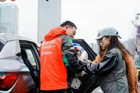 宠物可以自己“坐车”了？滴滴宠物专送在杭州等7城开启服务图片