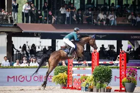 快来打卡！国际马联场地障碍世界杯中国联赛北京站精彩进行中图片