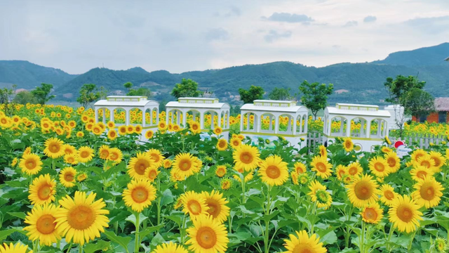 郧阳荣获中国文旅融合高质量发展示范区