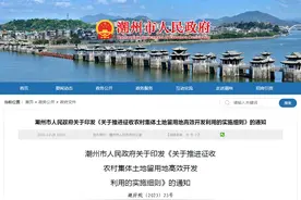 广东省潮州市人民政府关于印发《关于推进征收农村集体土地留用地高效开发利用的实施细则》的通知图片