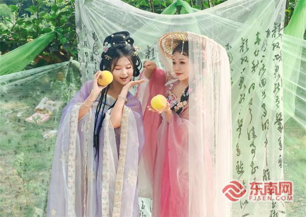 三明泰宁：桃林飘古韵 文旅融出“新桃路”