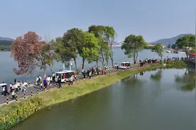打造“文化名城” 闽南城市漳州依靠什么？图片