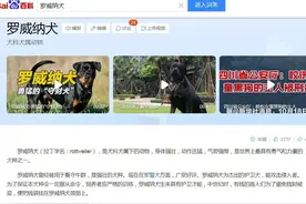怎样防止被狗咬？被狗咬伤有多危险？该如何紧急处理？图片