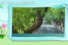 南京的魅力，一半风采是它给的！图片