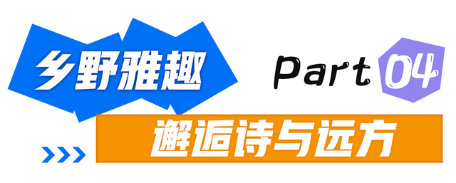 演唱会没嗨够？转场美兰这10个地方！火星人与KatyCats的游玩攻略→