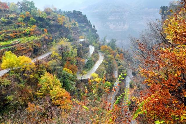 豫见两山 绿色答卷丨生态之旅——打卡“红旗渠的故乡”林州