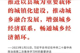 学习日历｜2024年1月31日图片