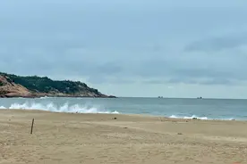 海龟也要洗澡？温度决定性别？到我国大陆海岸线上最后一张海龟“产床”大揭秘！图片