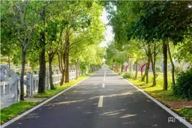 福建漳州：答好“四好农村路”十年之卷 路畅景美产业兴图片