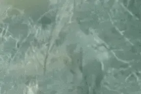 男子山中偶遇野猪被困获救后送警方“666”锦旗图片