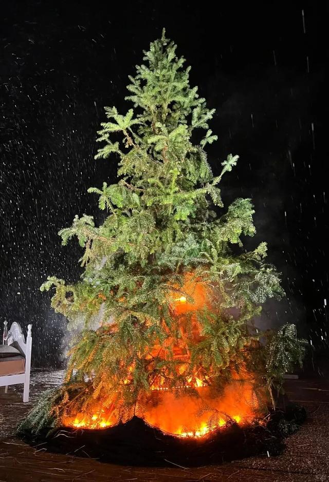 靓爆镜！不用去北方，高明已加入“元旦赏雪群聊”，出片攻略收好~