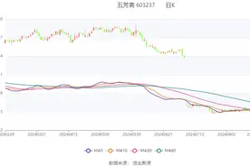 五芳斋：2024年上半年净利润2.34亿元 同比下降8.92%图片