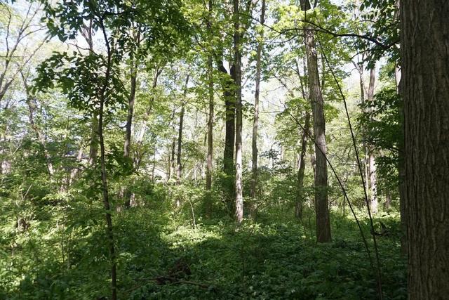 野外找不着“北”？这些户外应急技巧，关键时刻能救命