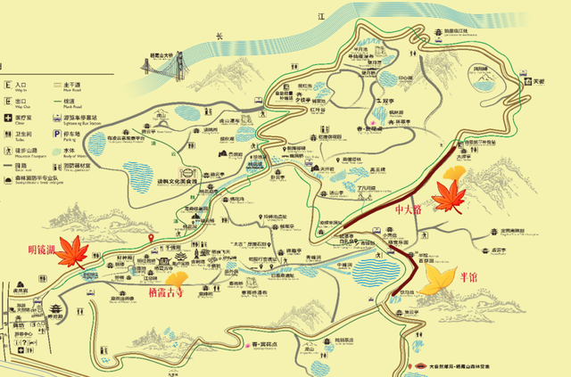 中大路 “红” 了！本周 C 位遛弯地预定！