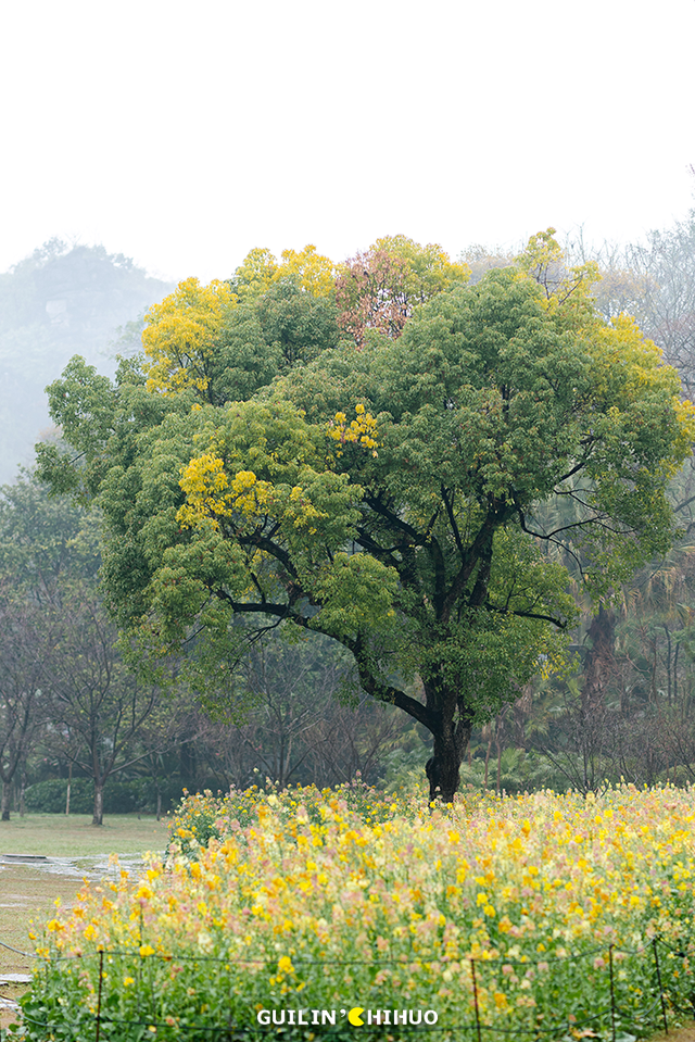 桂林户外徒步天花板！一键承包您的户外享受之旅，山水人文 + 小众秘境，赶紧收藏！