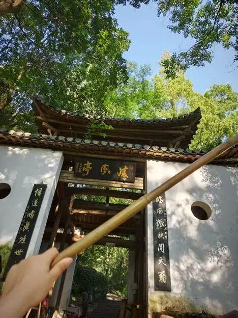 月识植物三百种，不辞长作岭南人：齐云山植物行