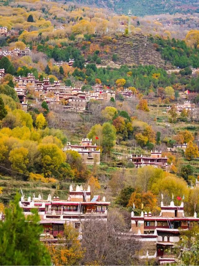 美上央视的秋景，这十条路线请你选！