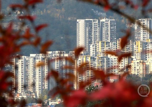 重庆黔江：红枫似火 彩林如画