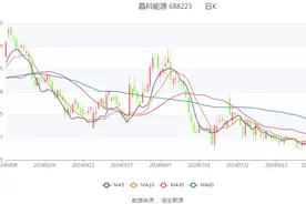 晶科能源：2024年上半年净利润12.00亿元 同比下降68.77%图片