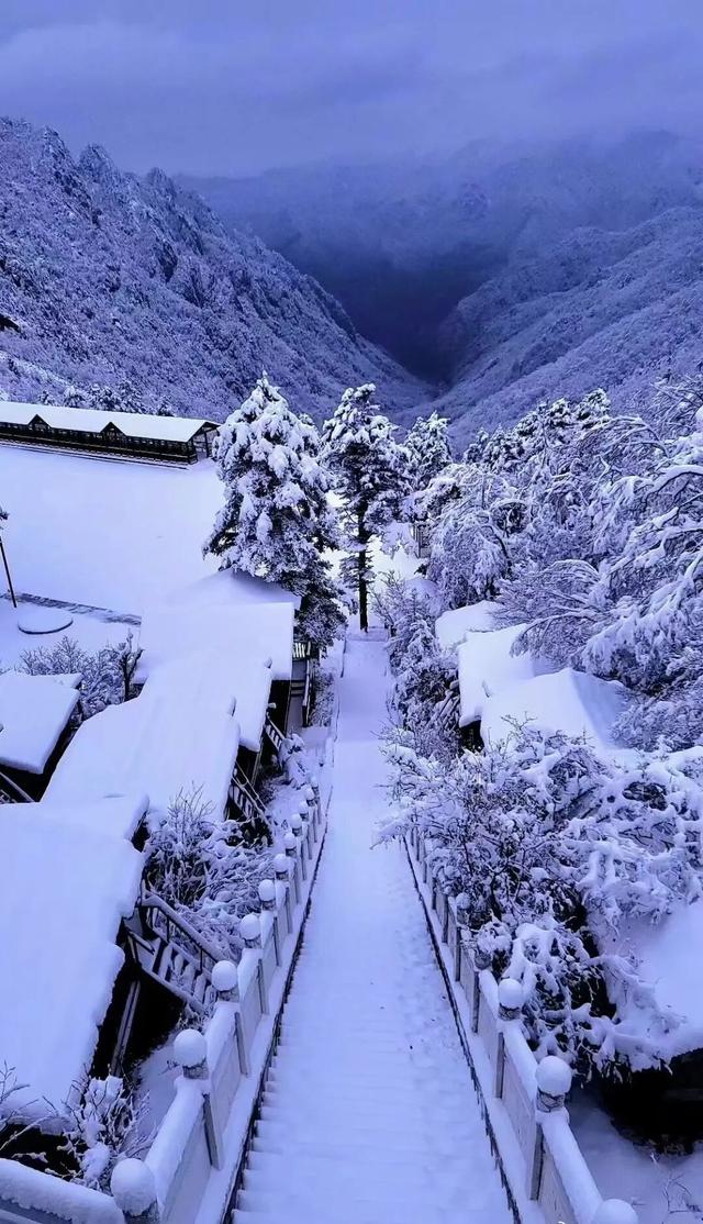 太白山冬季宠粉福利已上线！这波羊毛必须薅