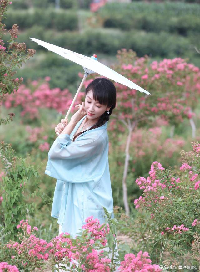 沂蒙花海紫薇园里，各色紫薇花盛开