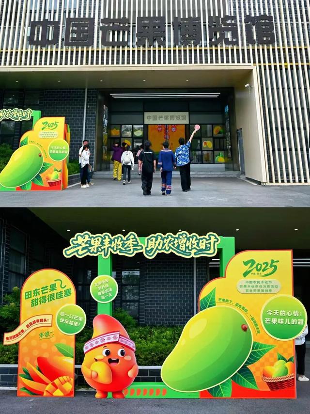 百色田东，“中国芒果之乡”不止芒果！