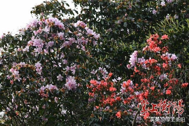 我为峰途丨天堂山：攀岭寻幽观胜景，碧水天光入画屏