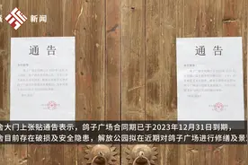 武汉人童年回忆中的鸽子要没了？解放公园百只网红鸽急寻新家，公园回应：后续会继续保留，尽快重开视频封面
