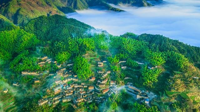 文博名家看松阳 | 张岚：坐看白云天际飞——松阳行