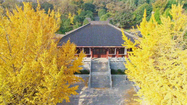 超美超出片！荆门这些宝藏地，附详细打卡攻略