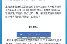 涨价也挡不住 暑假主题乐园迎来消费热图片