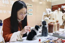 “90后”女孩创业，用羊毛做宠物模型图片