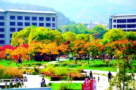 【图片新闻】努力建设青山常在、绿水长流、空气常新的美丽武山图片