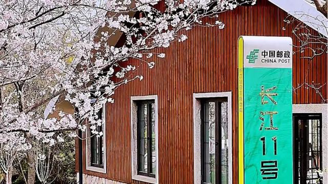 仅此一周！宝山推出半价+99元畅玩卡，非遗美食+滨江美景承包你的快乐