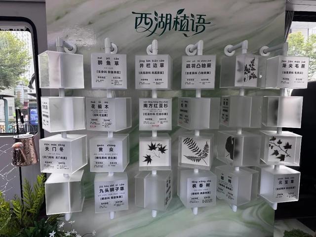 今晚杭州正式上线！不少网友提前“尖叫”：刺激