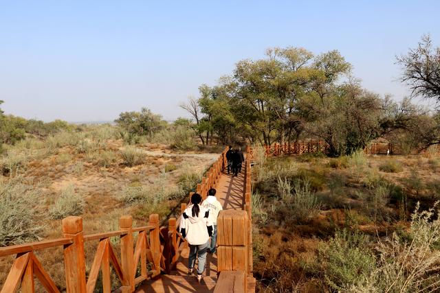 组图丨古浪县八步沙：人与自然的治沙画卷