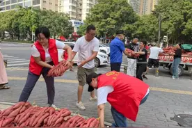20岁女孩卖红薯为父母治病3小时卖了3000斤 有爱心人士买25元的红薯给100元甚至500元图片
