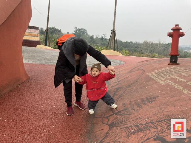 出门遇见“侏罗纪” 龙艺街口袋公园成家门口的“史前秘境”