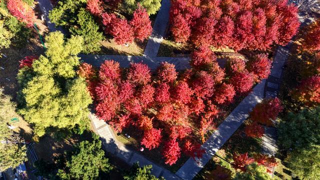 辽宁沈阳：秋意正浓 景色如画