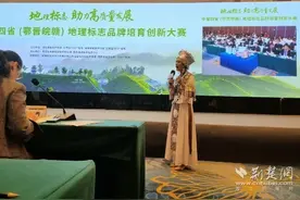 精彩纷呈！中部四省61个地理标志品牌江城“论剑”图片