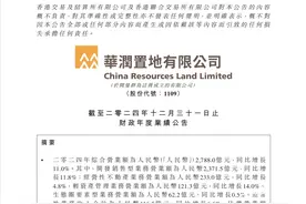 增收不增利！华润置地交年度“成绩单”，降价促销拖累毛利率图片