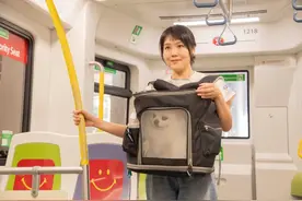 多方回应香港将试行带猫狗搭轻铁！要求持证且须待在车厢尾部图片