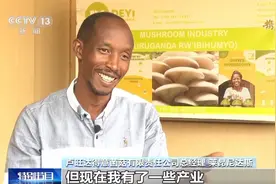 来自中国的菌草成为非洲多国民众的“致富草”图片