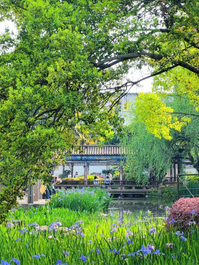 来西山区这些宝藏公园，感受治愈秋色